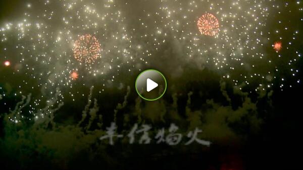 故事情景焰火（花之语）